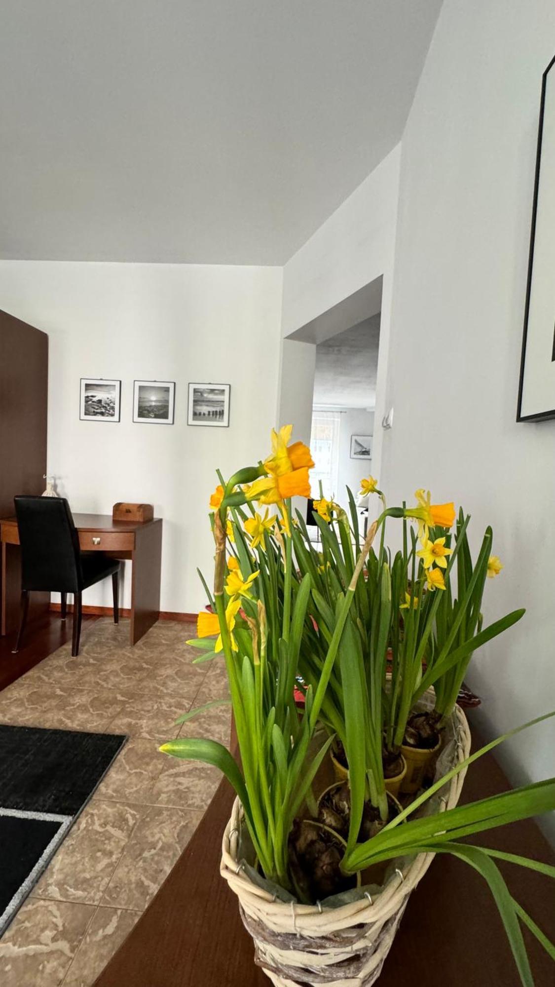 Apartament Rodzinny Kołobrzeg Εξωτερικό φωτογραφία