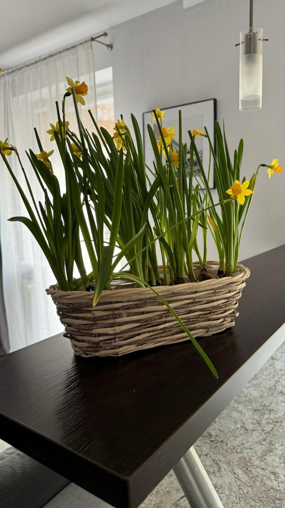 Apartament Rodzinny Kołobrzeg Εξωτερικό φωτογραφία